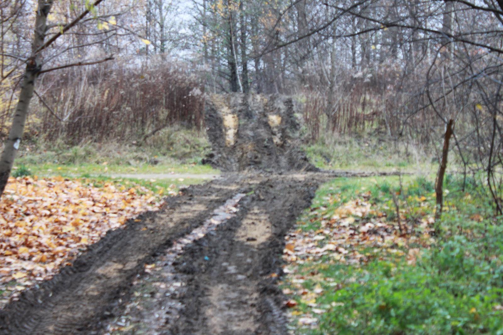 Park brzeziny śląskie 16