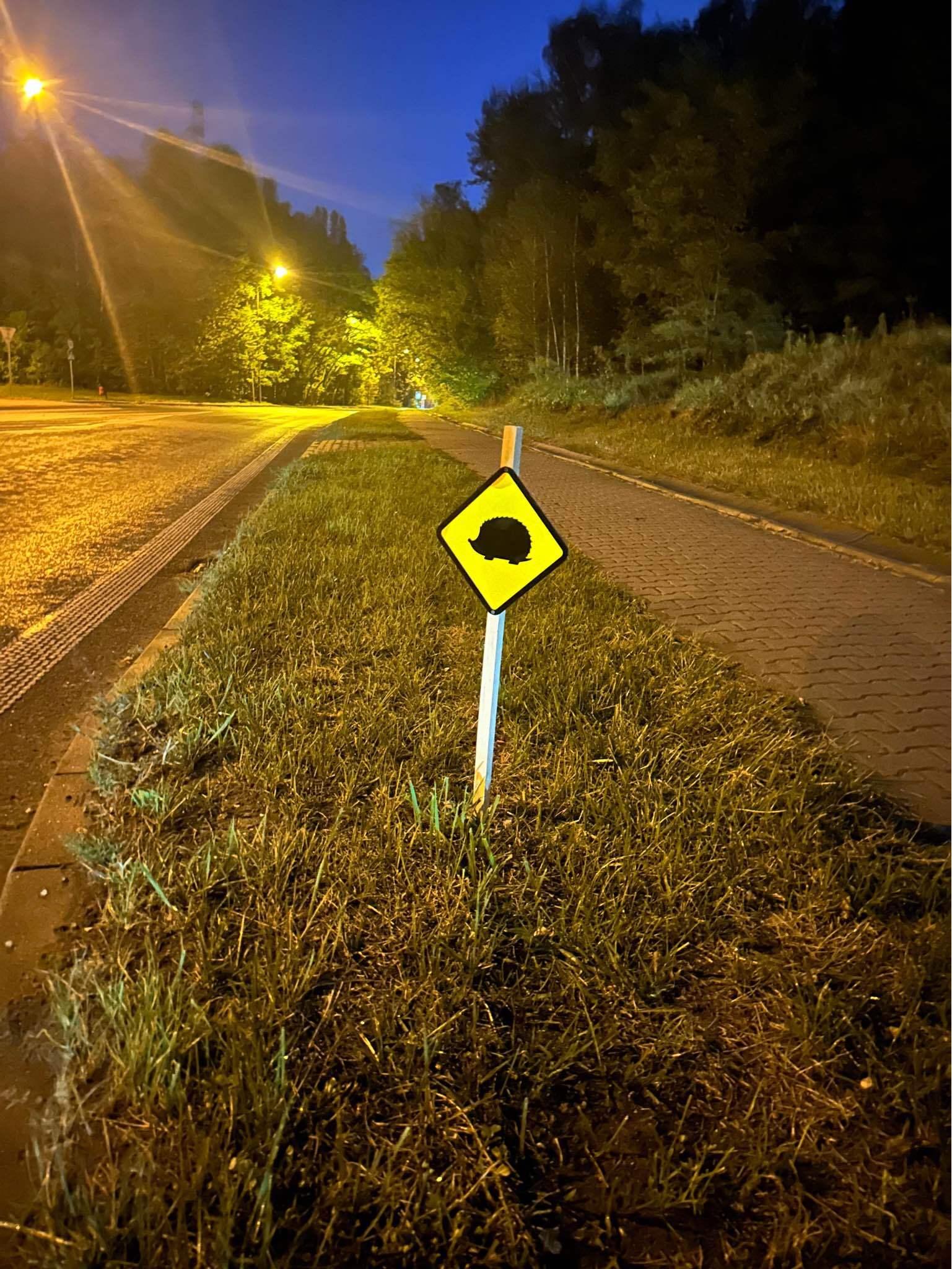 Znaki ostrzegające o jeżach w Piekarach